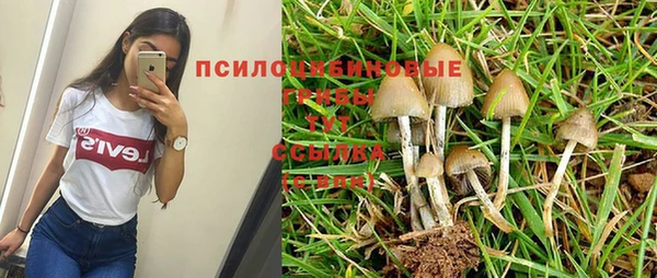Альфа ПВП Алексин