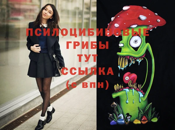 прущая мука Алзамай