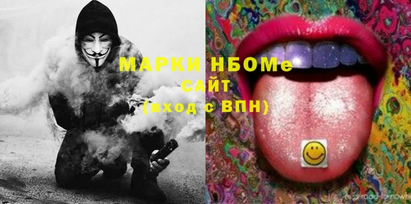 прущие грибы Абаза