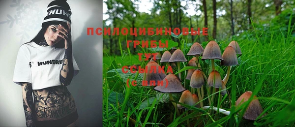 прущая мука Алзамай