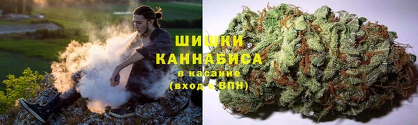 прущая мука Алзамай